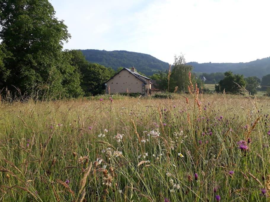 Le Studio Du Crot Noir Cussy-en-Morvan Eksteriør bilde